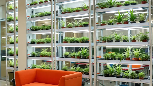 Completed interior: Hydroponic growing racks and an orange lounge sofa in the Zertte Studio laboratory
